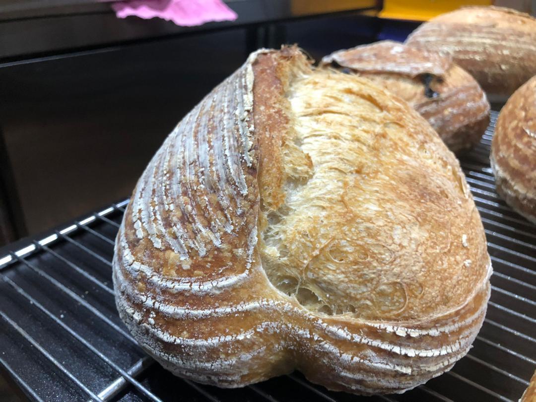Classic Plain Sourdough