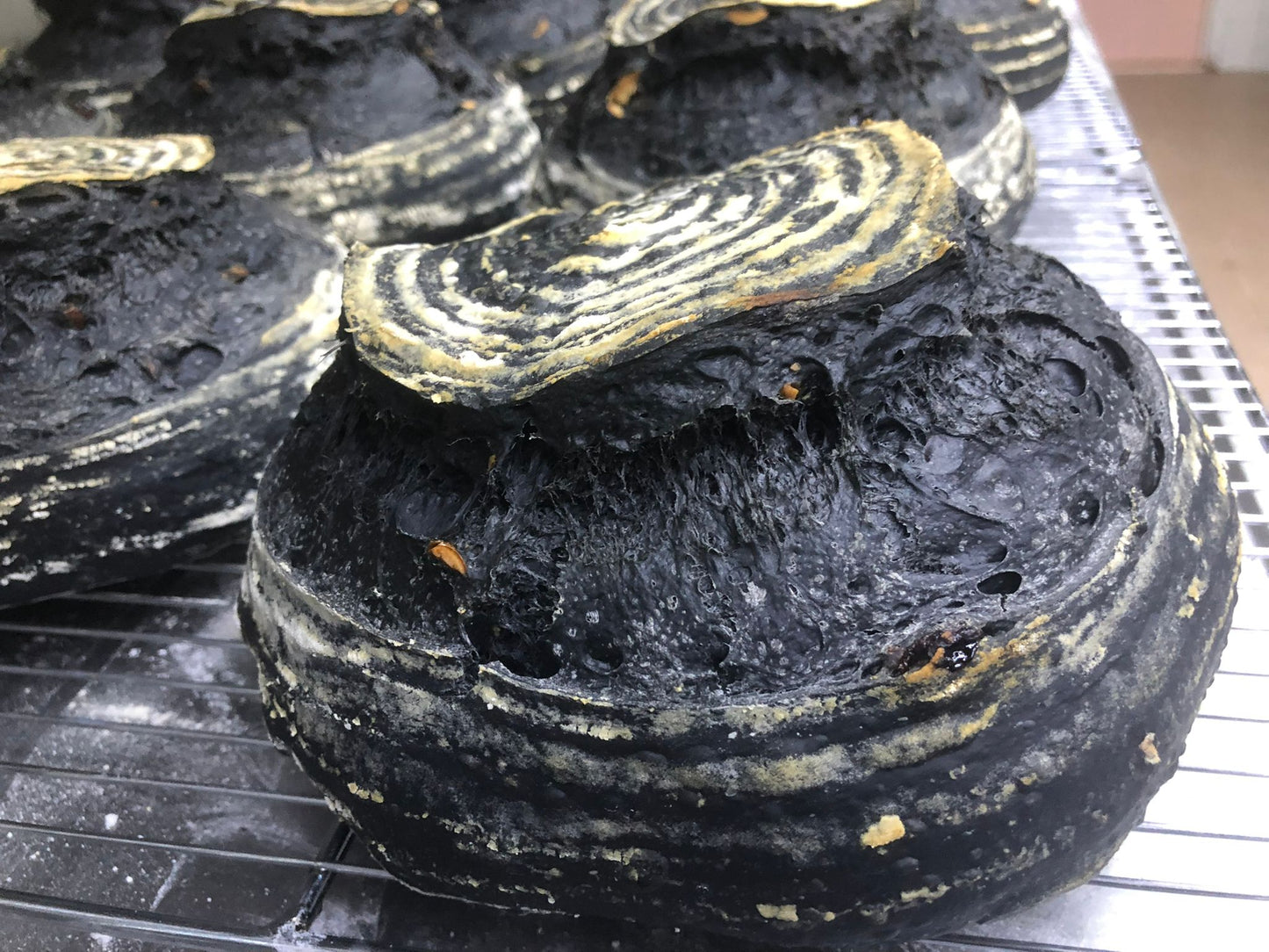 Charcoal With Nuts (Classic Sourdough)